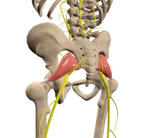 Piriformis Syndrome My MSK Clinic Burnley Manchester